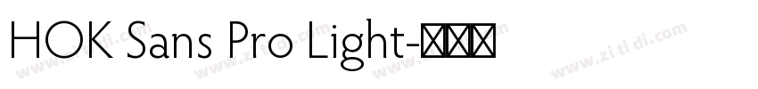 HOK Sans Pro Light字体转换
